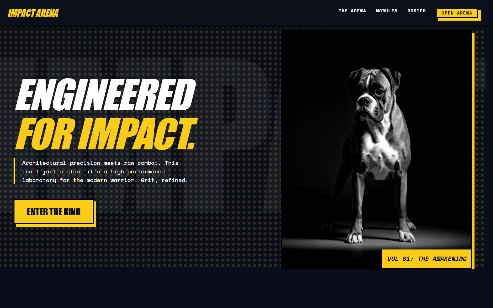 IMPACT ARENA